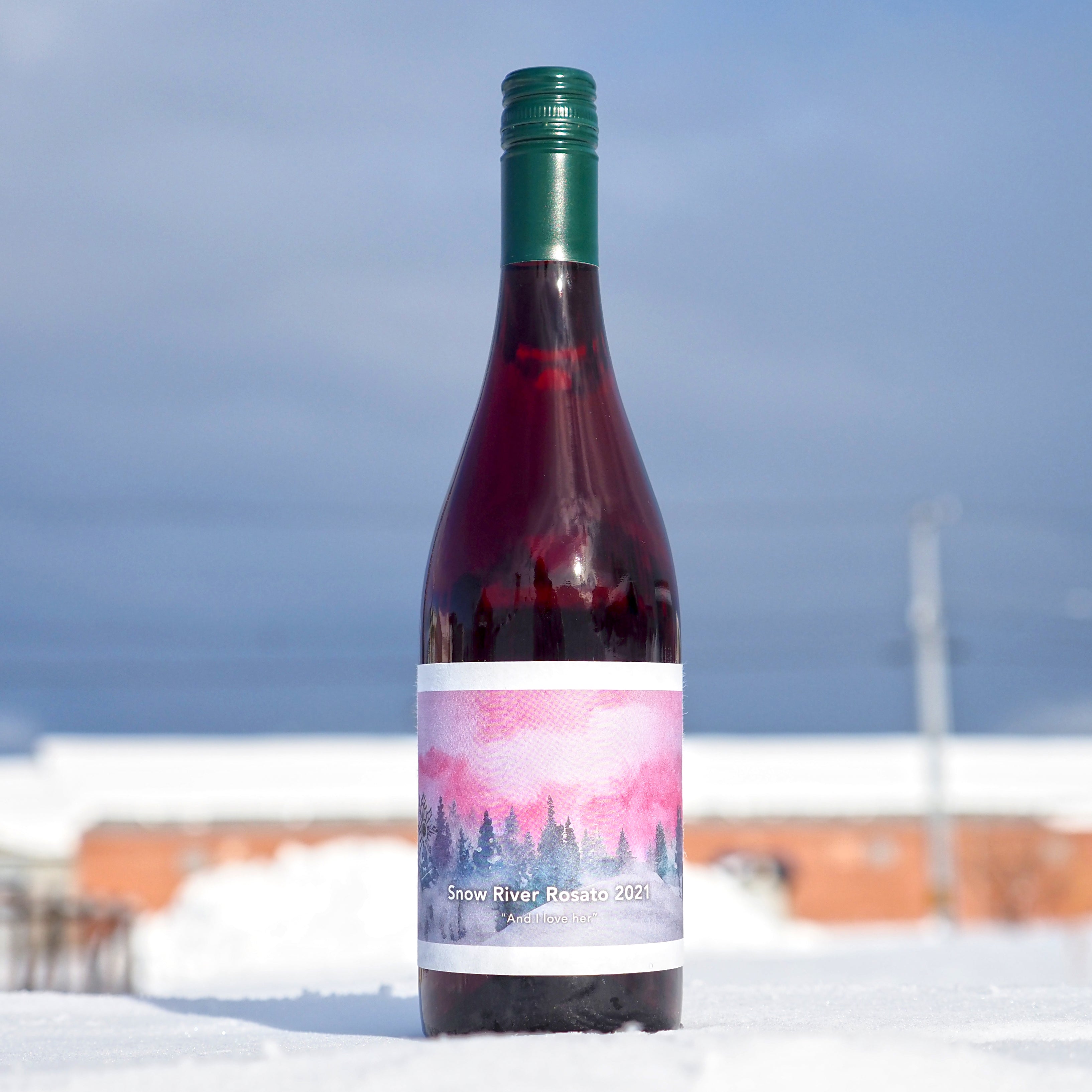 Rosier ロジエ『スワンベリー』長皿5枚大長皿1枚